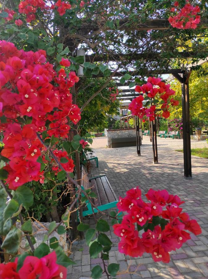 Villa Anthemida Chania Agia  ภายนอก รูปภาพ