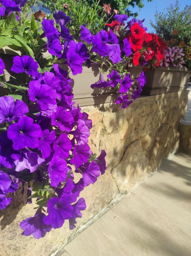 Villa Anthemida Chania Agia  ภายนอก รูปภาพ